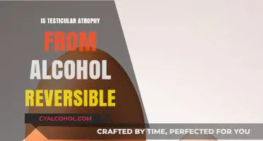Reversing Alcohol-Induced Testicular Atrophy: Is Recovery Possible?