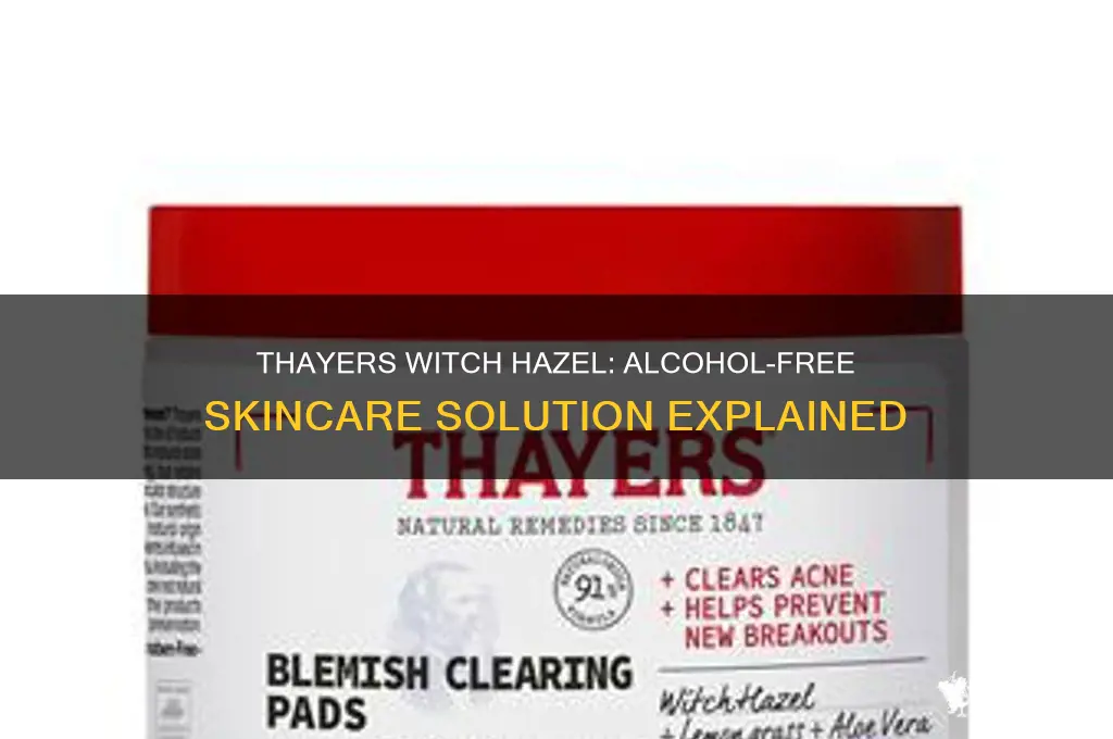 is thayers witch hazel alcohol free