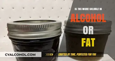THC Solubility: Alcohol vs. Fat – Which Dissolves Better?