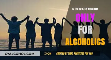 Beyond Alcohol: The 12-Step Program's Broader Applications Explained