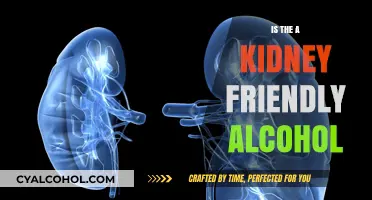 Kidney-Friendly Alcohol: Safe Options and Risks for Kidney Health