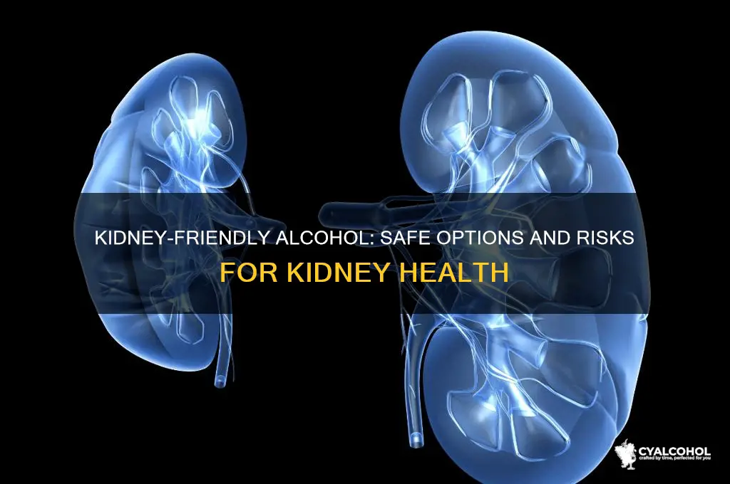is the a kidney friendly alcohol