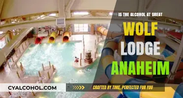 Alcohol Availability at Great Wolf Lodge Anaheim: What You Need to Know