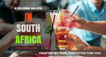 South Africa Alcohol Ban Update: Restrictions Lifted or Still in Place?
