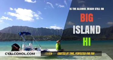Alcohol Beach: Big Island's Party Paradise?