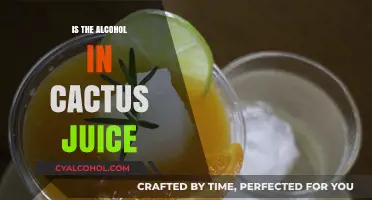 Exploring Cactus Juice: Does It Naturally Contain Alcohol?