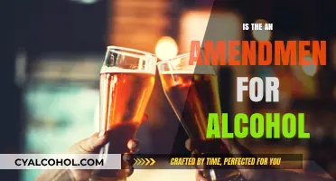Exploring the 21st Amendment: Alcohol's Legalization and Its Impact