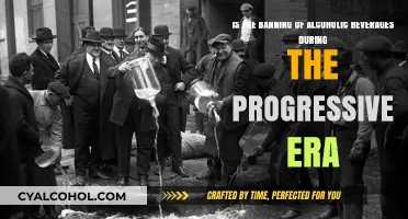 How Prohibition Shaped the Progressive Era