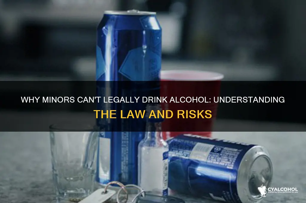 is the consumption of alcohol illegal for minors