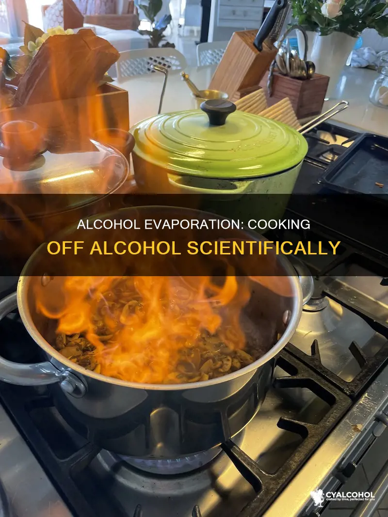 is the cooking off of alcohol a physical reaction
