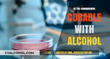 Can Alcohol Cure Coronavirus? Separating Fact from Fiction and Risks