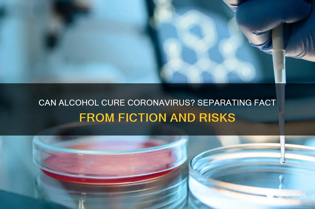 is the coronavirus curable with alcohol