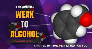 Alcohol's Power Against Coronavirus: Fact or Fiction? Unveiling the Truth