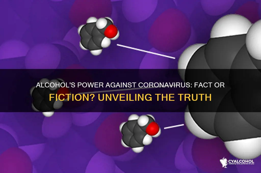 is the coronavirus weak to alcohol