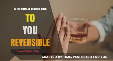 Can Alcohol Damage Be Reversed? Exploring Recovery and Healing Potential