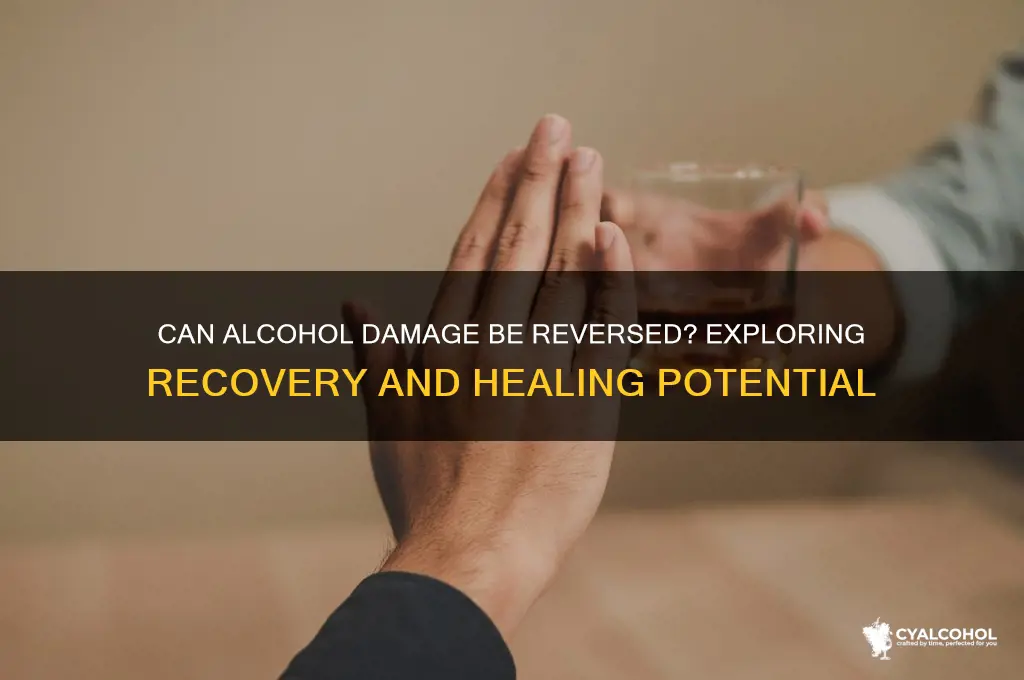 is the damage alcohol does to you reversible