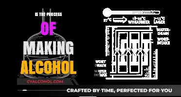 The Art of Brewing: Unveiling the Alcohol-Making Process