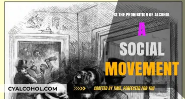 Prohibition of Alcohol: A Social Movement or Political Strategy?