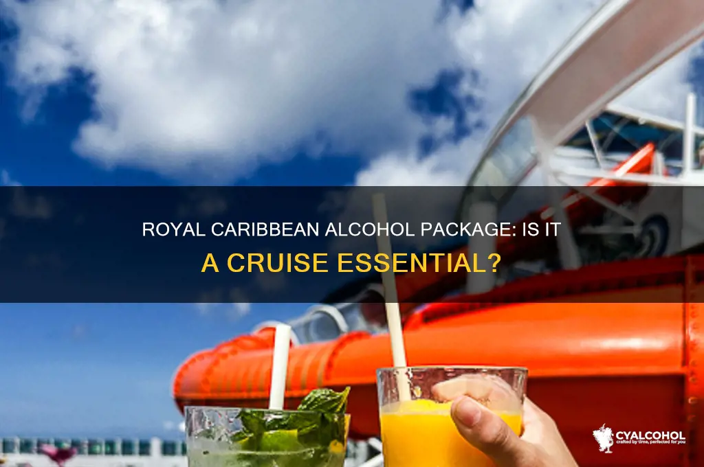 is the royal caribbean alcohol package worth it
