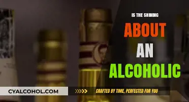 The Shining's Dark Secret: Alcoholism or Supernatural Horror?