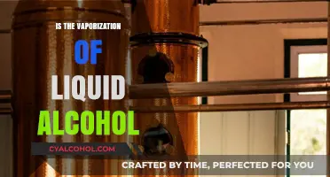 Understanding the Vaporization Process of Liquid Alcohol: Facts and Insights