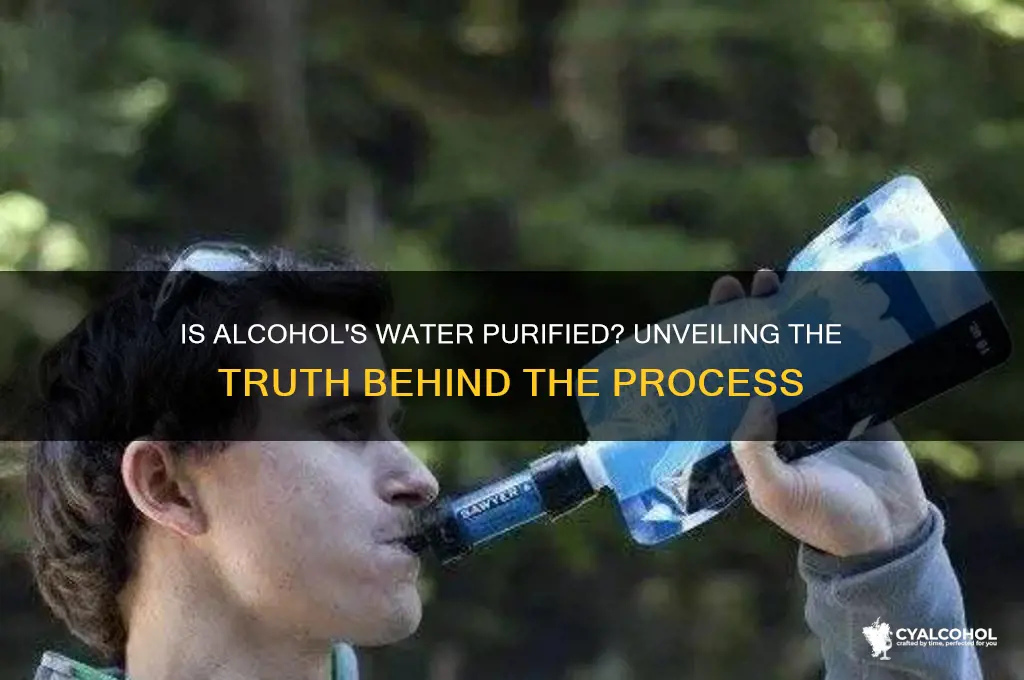 is the water in alcohol purified