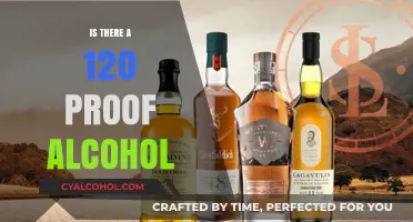 Exploring High-Proof Spirits: Does 120 Proof Alcohol Exist?