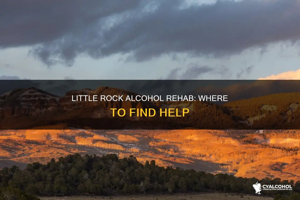 is there a alcohol rehab in little rock ar