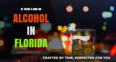 Is Alcohol Banned in Florida? Exploring the State's Liquor Laws