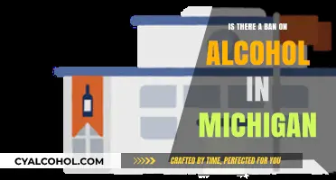 Is Alcohol Banned in Michigan? Understanding Current Liquor Laws