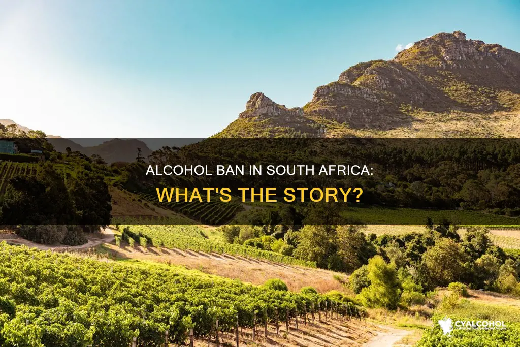 is there a ban on alcohol in south africa