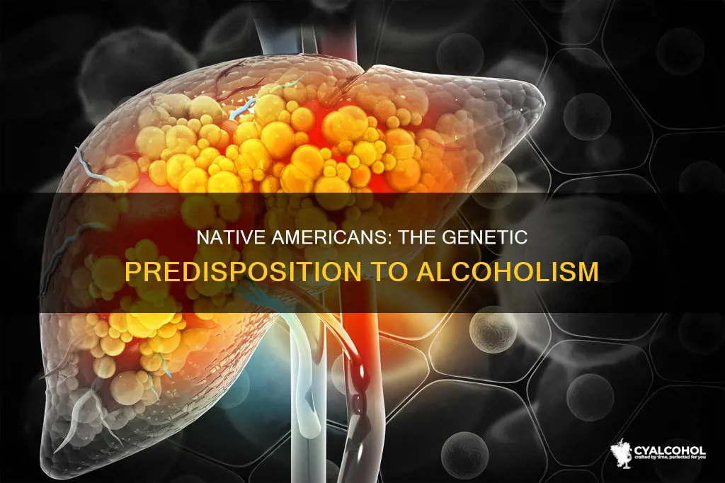 is there a biological connection to alcoholism and native americans