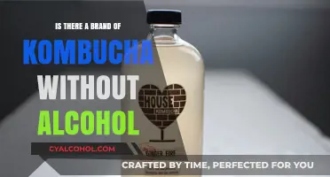 Alcohol-Free Kombucha: Discover Brands That Fit Your Lifestyle