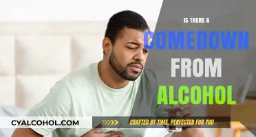 Understanding Alcohol's Aftermath: Exploring the Reality of the Comedown
