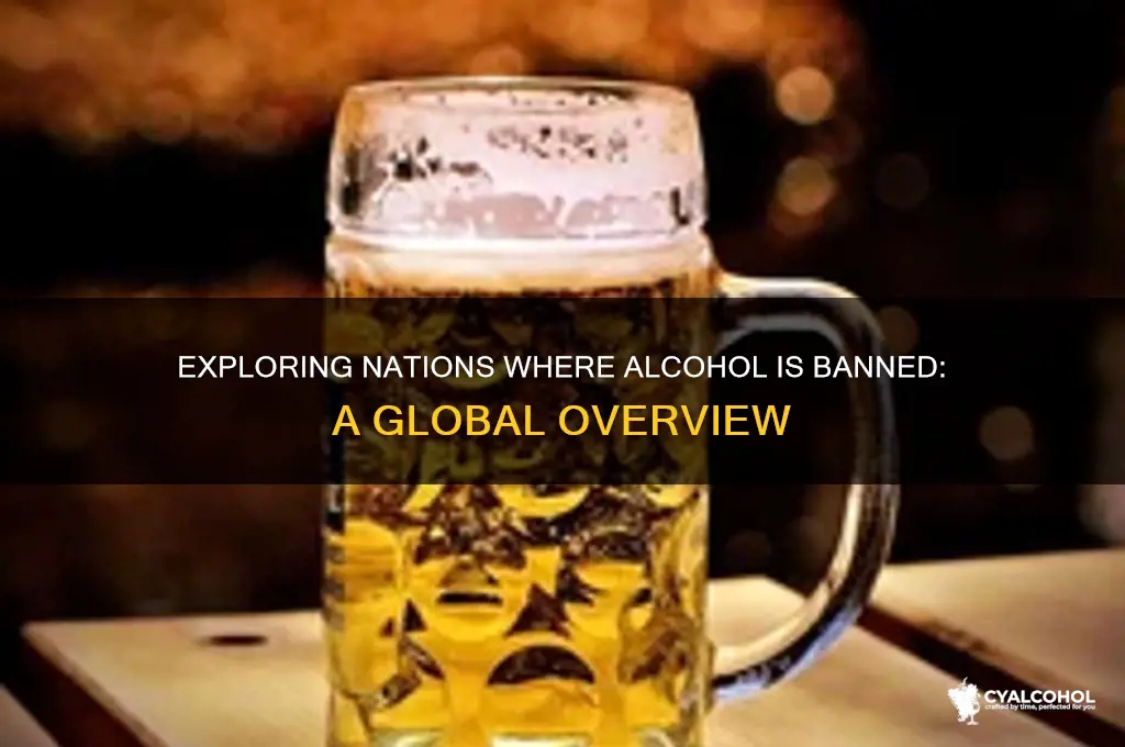 is there a country where alcohol is illegal