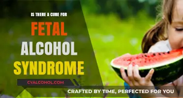 Exploring Fetal Alcohol Syndrome: Is a Cure Possible?