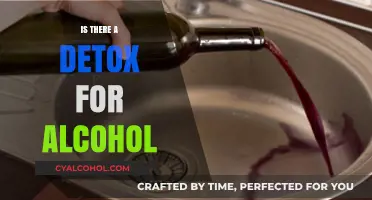 Exploring Alcohol Detox: Methods, Safety, and Effective Recovery Strategies
