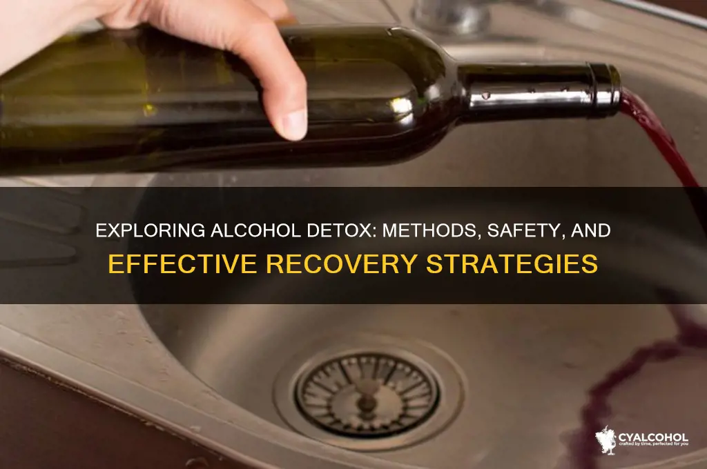 is there a detox for alcohol