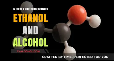Ethanol vs. Alcohol: Understanding the Key Differences and Similarities