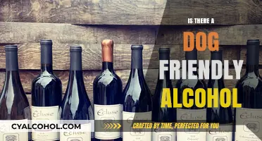 Can Dogs Safely Enjoy Alcohol? Exploring Pet-Friendly Beverage Options