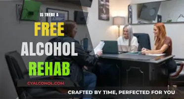 Finding Free Alcohol Rehab: Accessible Recovery Options for Everyone