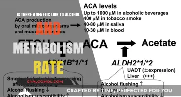 Genetics and Alcohol: How Your DNA Affects Metabolism