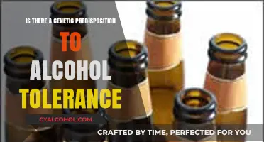 Genetic Factors Influencing Alcohol Tolerance: Unraveling the Science Behind It