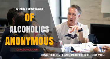 Does Alcoholics Anonymous Have a Designated Group Leader?