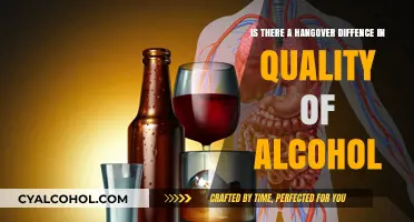 Cheap Alcohol: Why Hangovers Hurt More