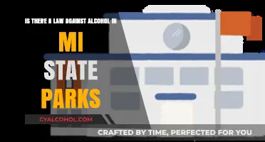 Michigan State Parks: Alcohol Laws Explained