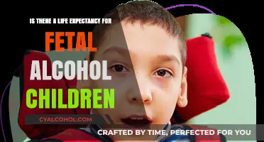 FASD: Life Expectancy and the Unborn