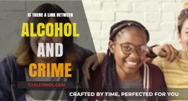 Alcohol and Crime: Uncovering the Complex Relationship and Its Impact