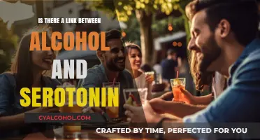 Alcohol and Serotonin: Unraveling the Complex Connection and Its Impact