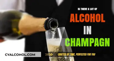 Champagne Alcohol Content: Unveiling the Truth Behind the Bubbles